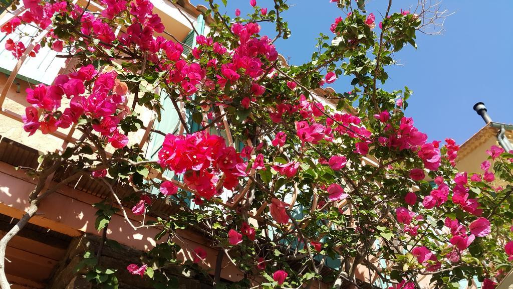 Hostellerie Provencale Port-Cros Exterior foto